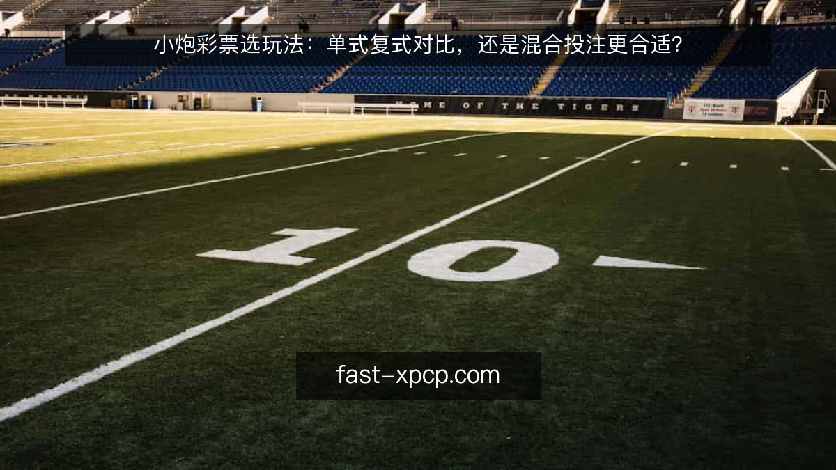 小炮彩票选玩法：单式复式对比，还是混合投注更合适？