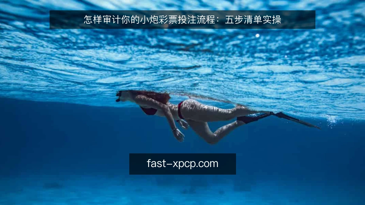 怎样审计你的小炮彩票投注流程：五步清单实操
