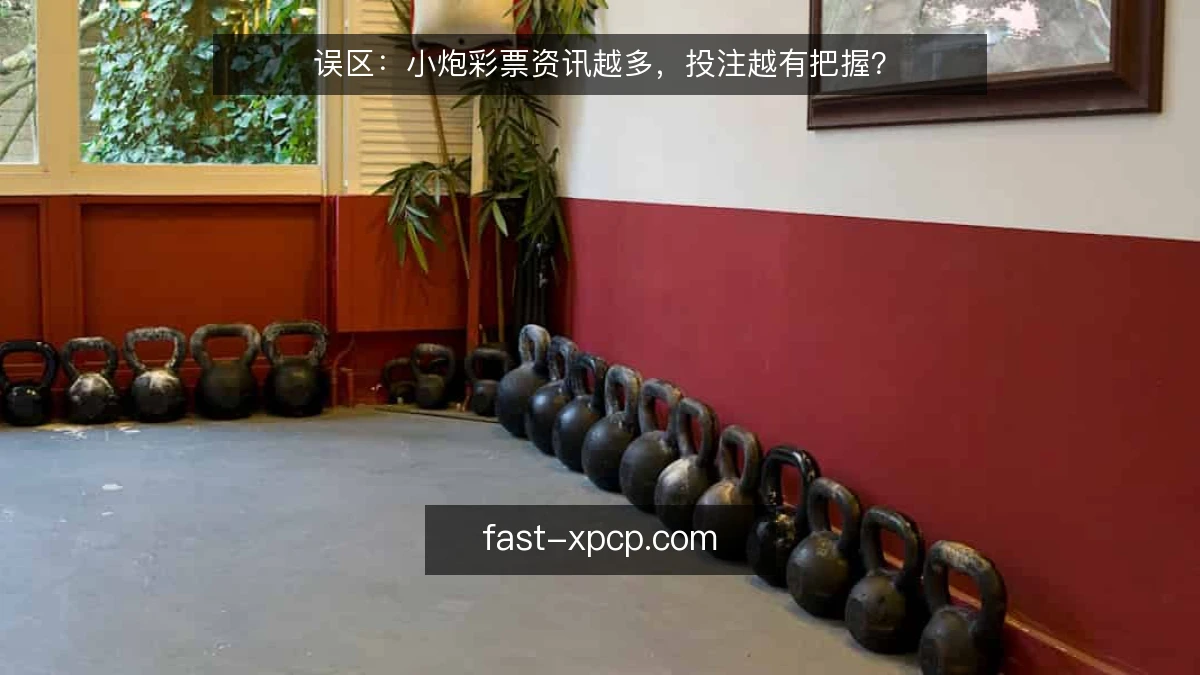 误区：小炮彩票资讯越多，投注越有把握？