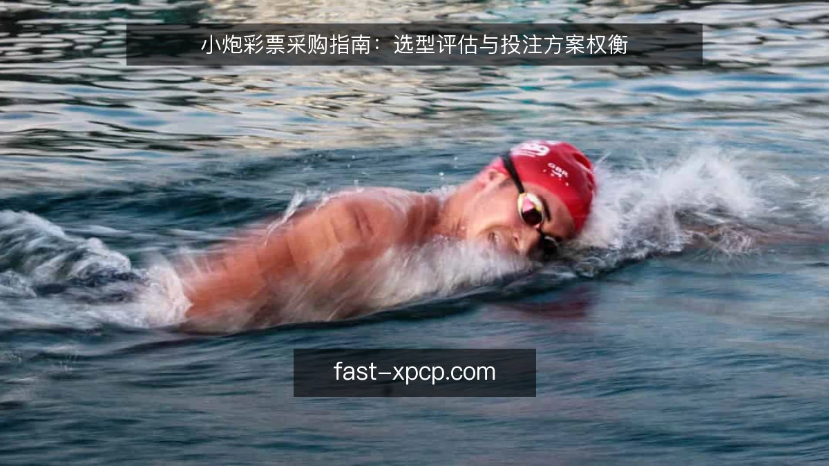 小炮彩票采购指南：选型评估与投注方案权衡