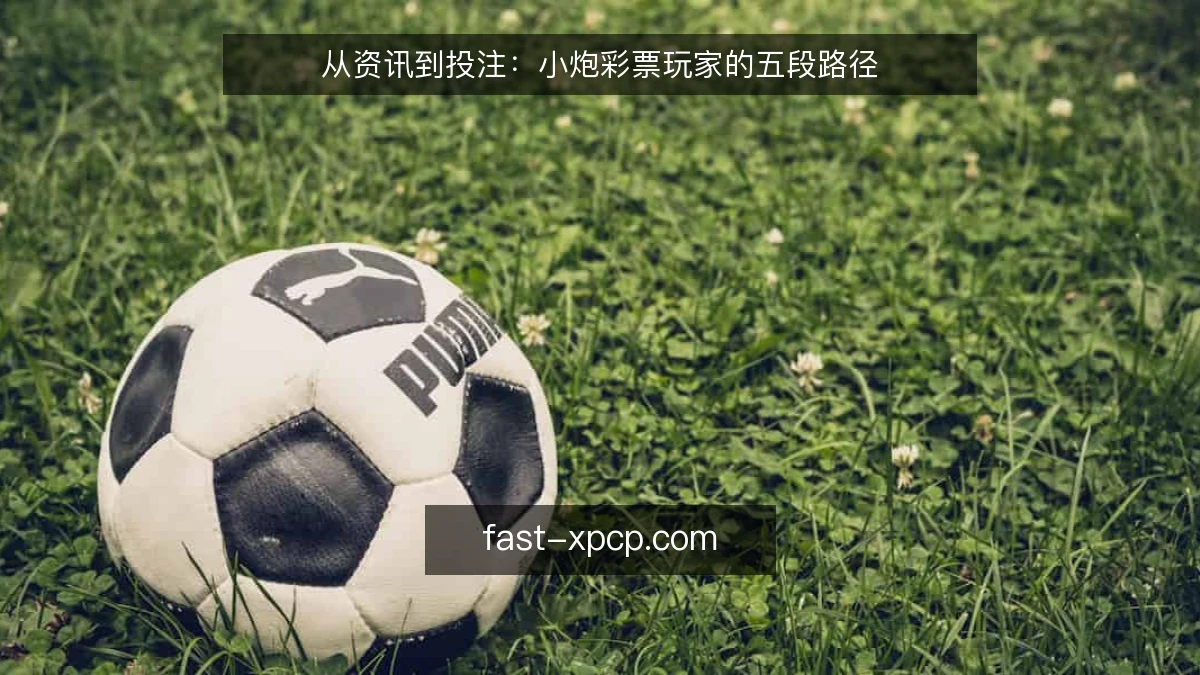 从资讯到投注：小炮彩票玩家的五段路径